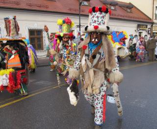 Zdjęcie – Żywiec 17. 2016. fot. W. Dudzik.JPG