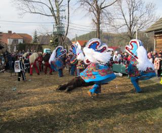 Zdjęcie – Milówka 26. 2020. fot. W. Dudzik.JPG